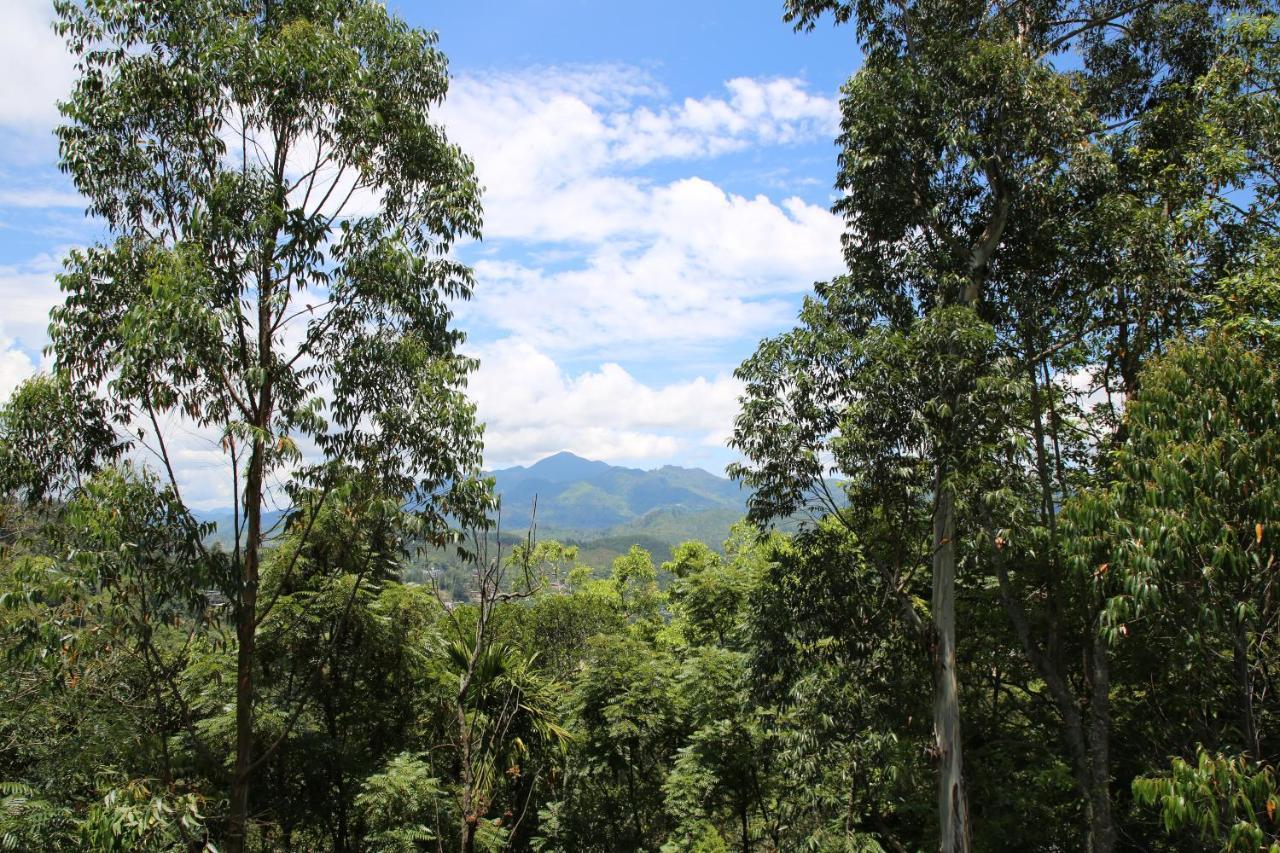 The Bliss Homestay เอลลา ภายนอก รูปภาพ